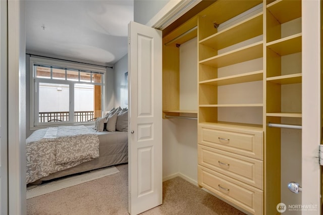 109 2nd St S Unit 523, Kirkland, WA 98033 - view of closet
