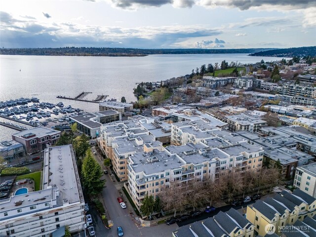 109 2nd St S Unit 523, Kirkland, WA 98033 - bird's eye view with a water view