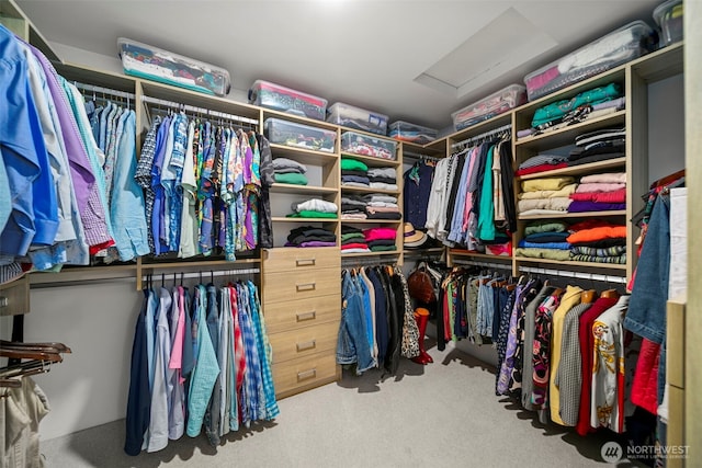 351 19th St NE Unit 10, East Wenatchee, WA 98802 - walk in closet featuring carpet floors and attic access