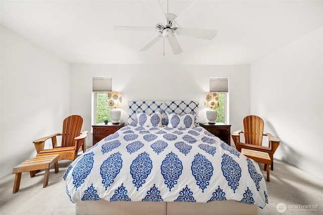 351 19th St NE Unit 10, East Wenatchee, WA 98802 - carpeted bedroom featuring multiple windows and ceiling fan