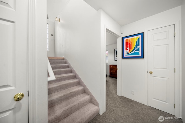351 19th St NE Unit 10, East Wenatchee, WA 98802 - stairs featuring carpet flooring