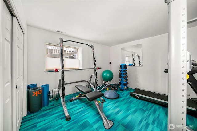 351 19th St NE Unit 10, East Wenatchee, WA 98802 - workout room with visible vents and carpet