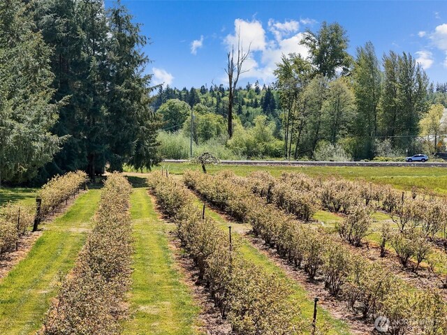 761 State Route 508, Chehalis, WA 98532