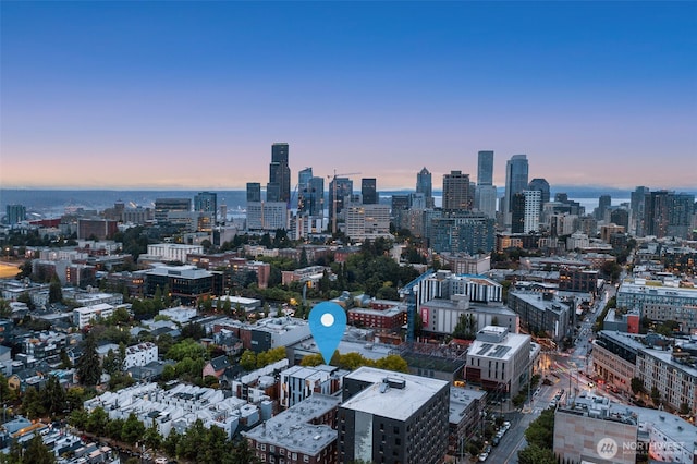 1124C 13th Ave, Seattle, WA 98122 - view of city skyline