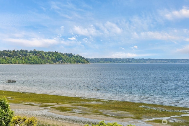 3122 SW 172nd St, Burien, WA 98166 - water view