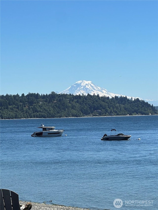 3122 SW 172nd St, Burien, WA 98166 - water view with a forest and a mountainous background