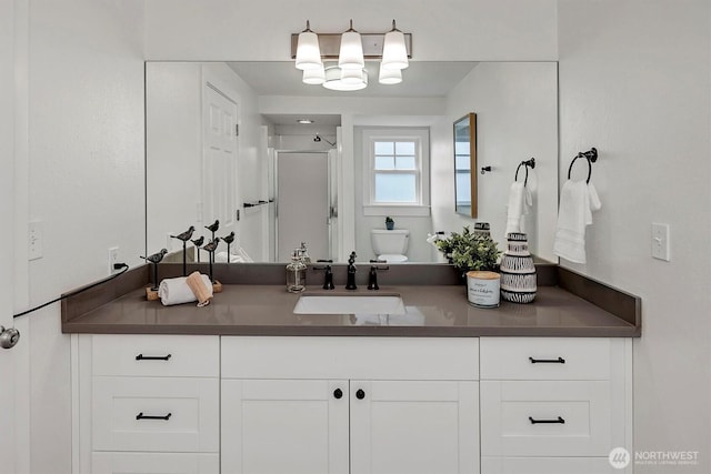 10841 NE 108th St, Kirkland, WA 98033 - full bath with toilet, a notable chandelier, a shower stall, and vanity