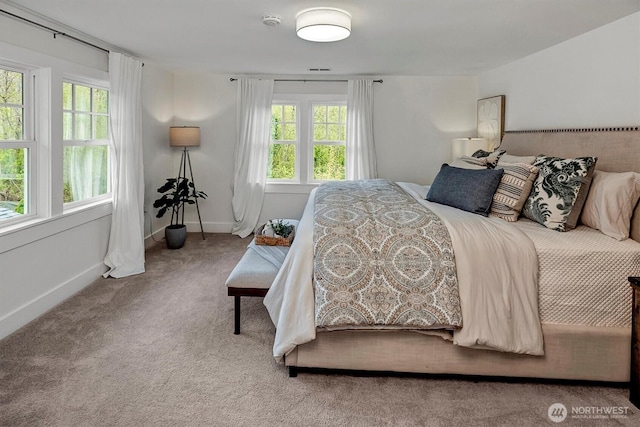 10841 NE 108th St, Kirkland, WA 98033 - bedroom with carpet floors and baseboards