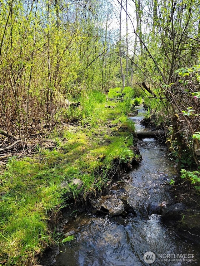 10841 NE 108th St, Kirkland, WA 98033 - view of nature