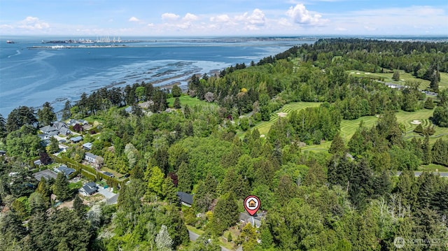 drone / aerial view with a water view and a wooded view