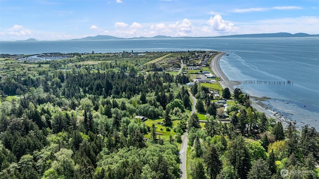 birds eye view of property featuring a water and mountain view