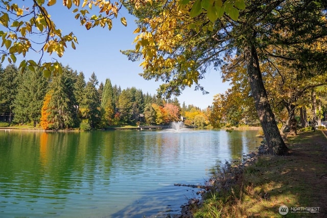 6702 139th Ave NE Unit 742, Redmond, WA 98052 - view of water feature featuring a view of trees
