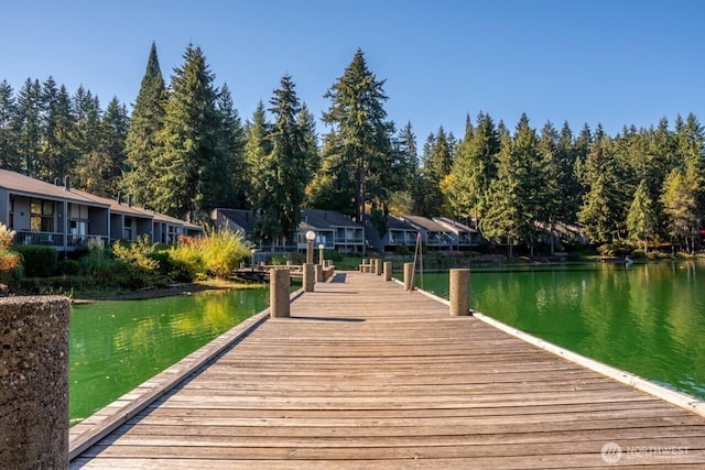 6702 139th Ave NE Unit 742, Redmond, WA 98052 - view of dock with a residential view and a water view