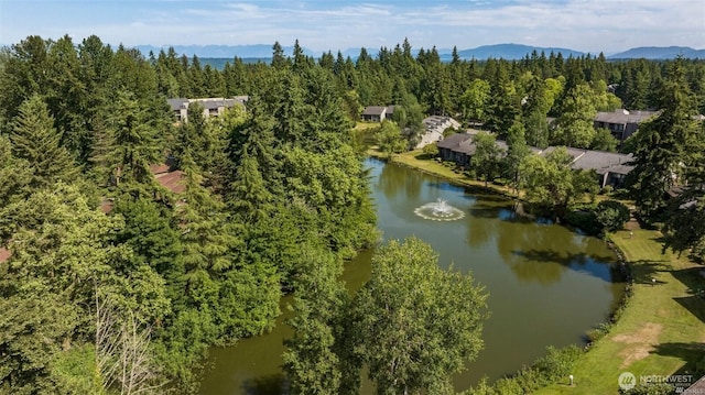 6702 139th Ave NE Unit 742, Redmond, WA 98052 - aerial view featuring a view of trees and a water and mountain view