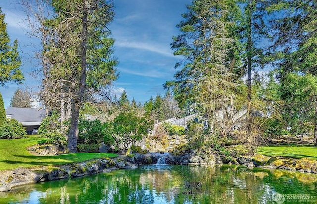 6702 139th Ave NE Unit 742, Redmond, WA 98052 - water view