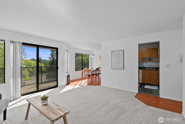 carpeted living area with baseboards and a sink
