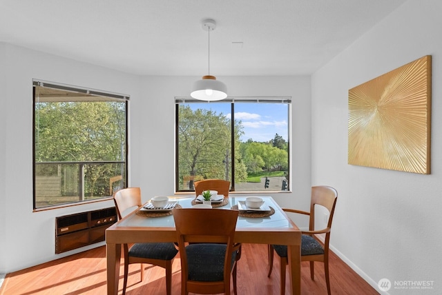 dining space featuring baseboards and wood finished floors