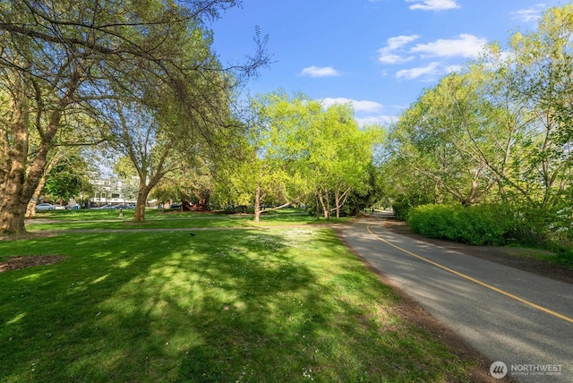view of community with a lawn