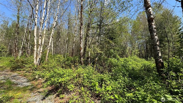 356 SE Courtney Rd, Ravensdale, WA 98051