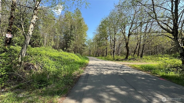 356 SE Courtney Rd, Ravensdale, WA 98051