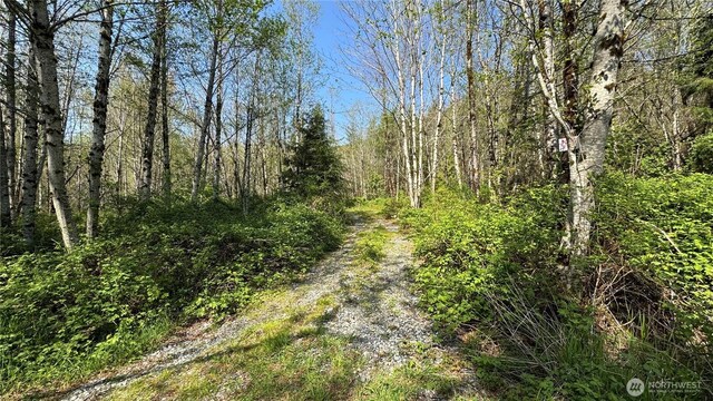 356 SE Courtney Rd, Ravensdale, WA 98051