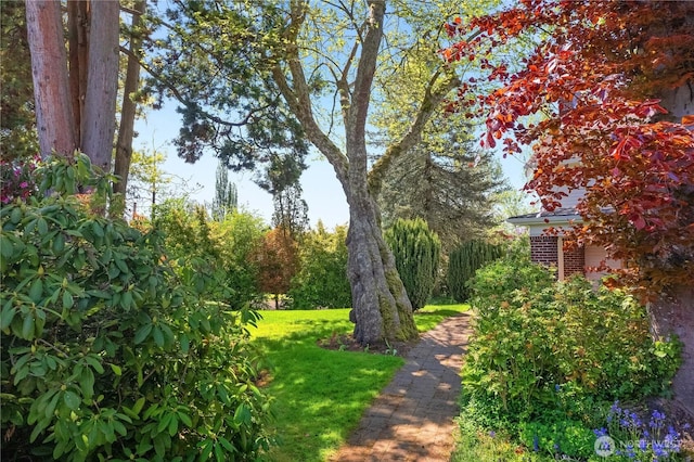 437 NW Pennsylvania Ave, Chehalis, WA 98532 - surrounding community featuring a lawn