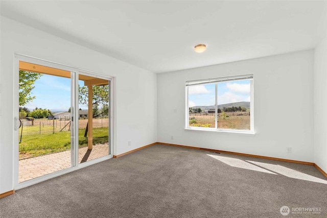 300 Range View Rd, Ellensburg, WA 98926 - carpeted empty room with healthy amount of natural light and baseboards