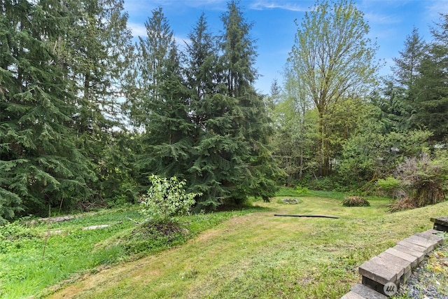 view of yard with a view of trees