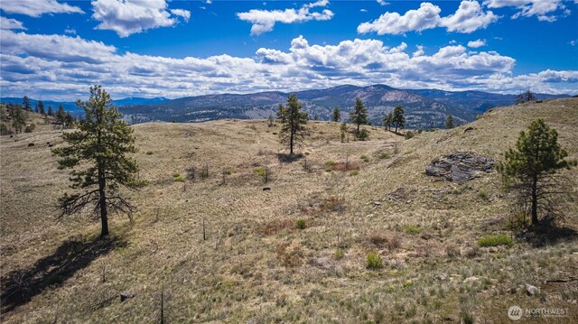 0 Rehmke Rd, Tonasket, WA 98855