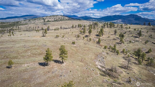 0 Rehmke Rd, Tonasket, WA 98855