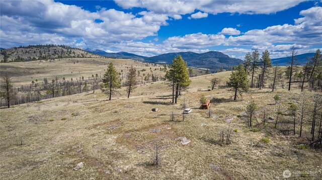 0 Rehmke Rd, Tonasket, WA 98855