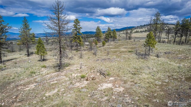0 Rehmke Rd, Tonasket, WA 98855