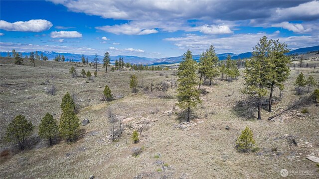 0 Rehmke Rd, Tonasket, WA 98855