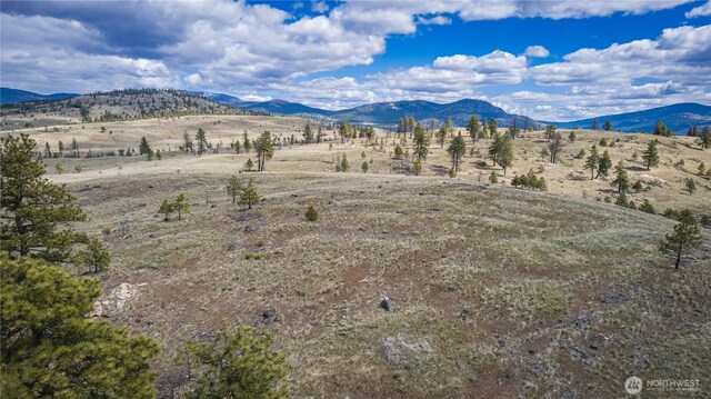 0 Rehmke Rd, Tonasket, WA 98855