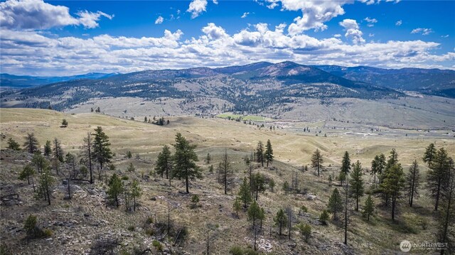 0 Rehmke Rd, Tonasket, WA 98855