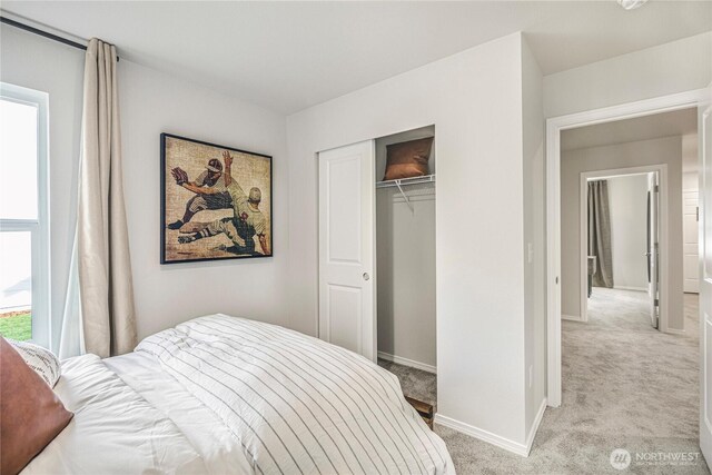 bedroom with baseboards, multiple windows, and light colored carpet