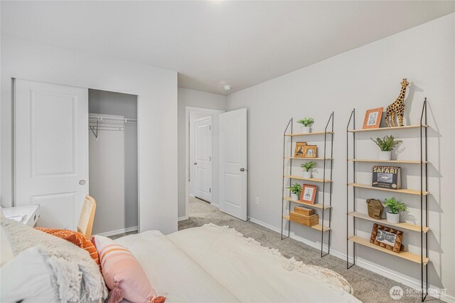 bedroom featuring baseboards, carpet, and a closet