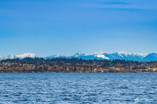 water view with a mountain view