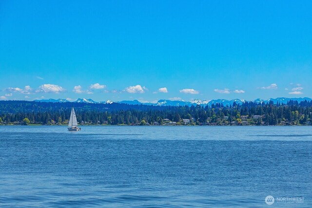3038 E Laurelhurst Dr NE, Seattle, WA 98105 - water view featuring a heavily wooded area and a mountainous background
