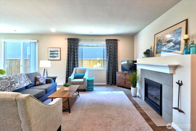 living room featuring baseboards, a fireplace with flush hearth, wood finished floors, and a healthy amount of sunlight