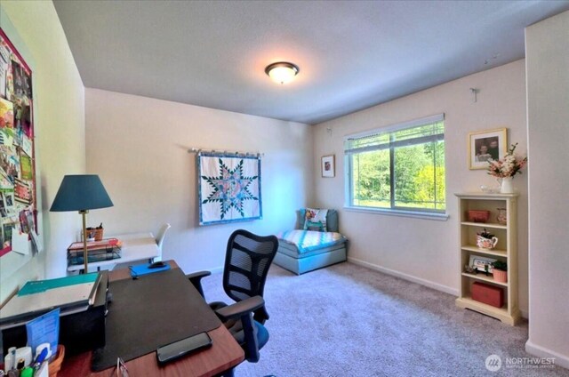 carpeted home office featuring baseboards