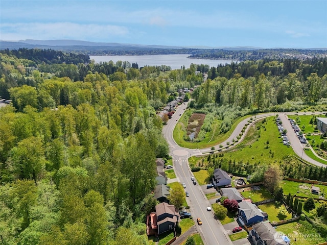 3203 Lake Dr, Lake Stevens, WA 98258 - photo 35