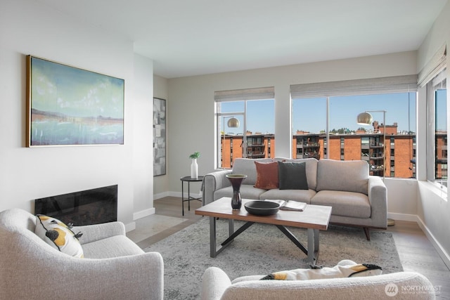 living area featuring baseboards, a fireplace, and wood finished floors