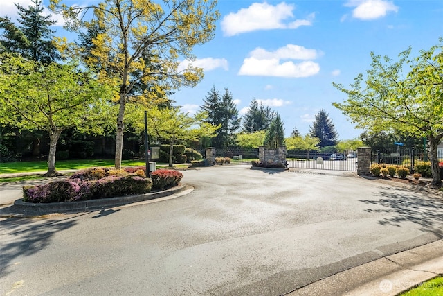 view of street with a gate, a gated entry, and curbs