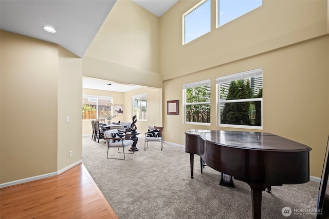sitting room featuring light wood-type flooring, baseboards, a high ceiling, and a healthy amount of sunlight