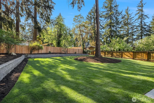 view of yard featuring a fenced backyard