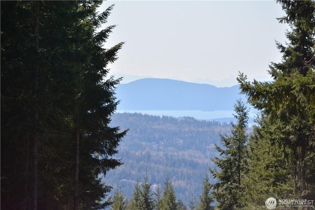 11 Academy Highlands, Bellingham, WA 98226