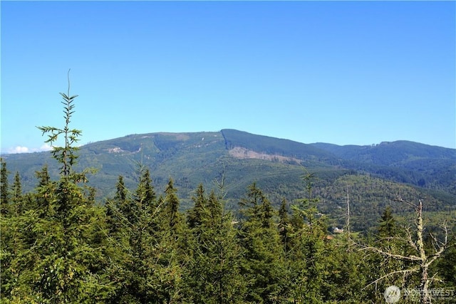 11 Academy Highlands, Bellingham, WA 98226