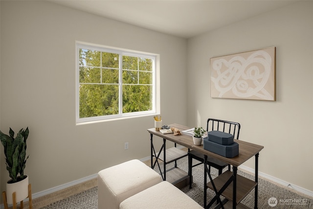 office space with baseboards and carpet floors