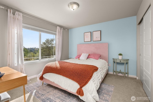 12011 SE 299th Pl, Auburn, WA 98092 - bedroom with a closet, baseboards, and carpet flooring